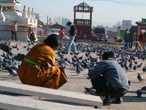 mongolia4