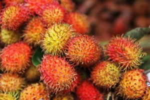 rambutan
