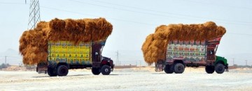 Kolorowe ciężarówki w Pakistanie