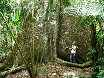  - tandem_amazonia_4-360x270