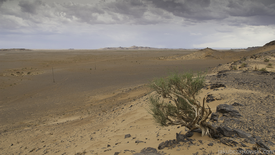 Pustynia Gobi, Mongolia