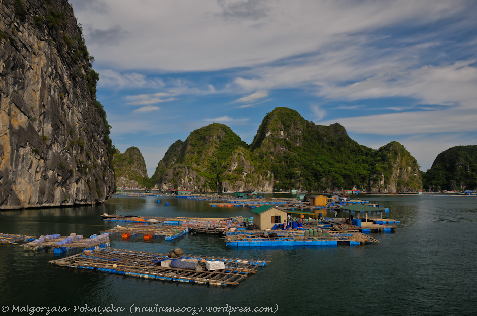 Zatoka Halong