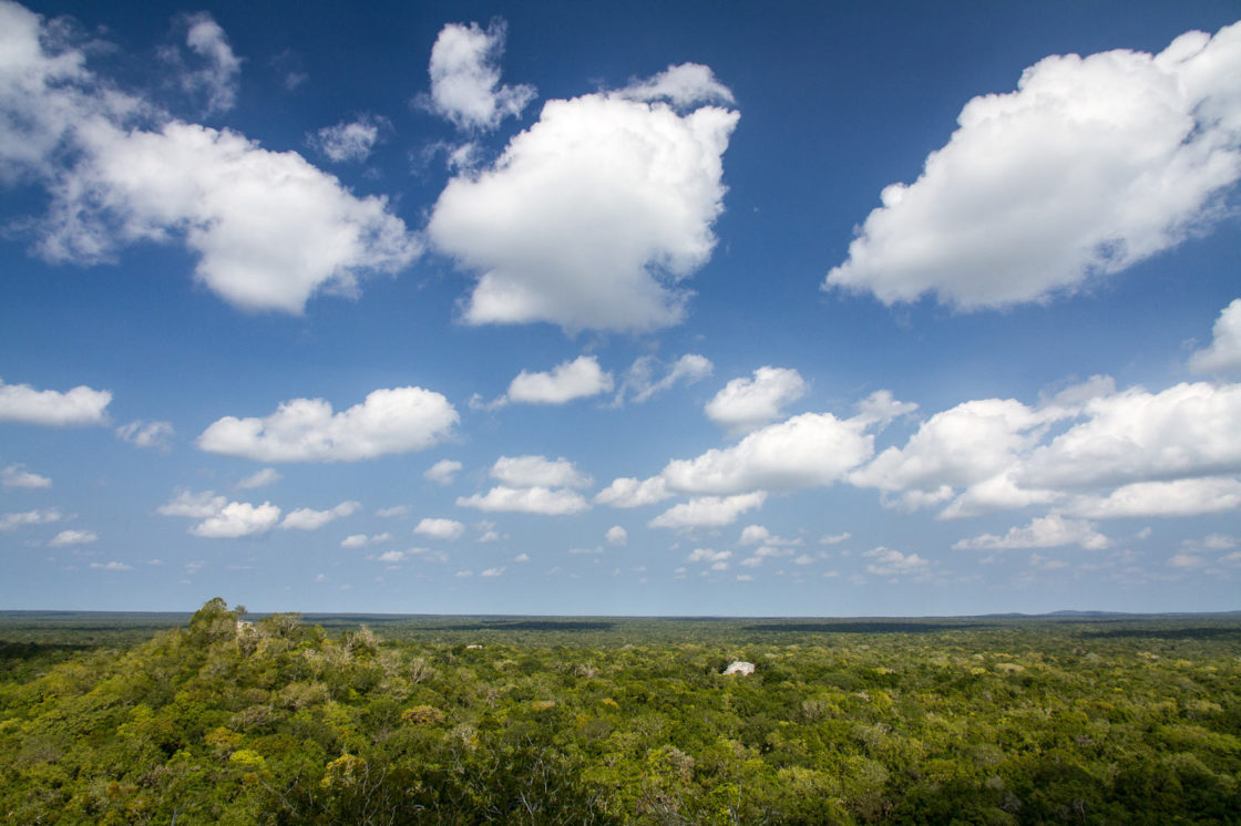 Starożytne miasto Calakmul ukryte w meksykańskiej dżungli