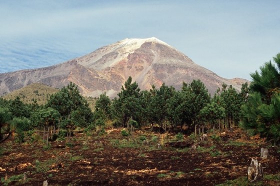 Wyszliśmy powyżej linii lasu i naszym oczom ukazała się jedna z najpiękniejszych gór naszego życia! (Fot. Marcin Kruczyk)