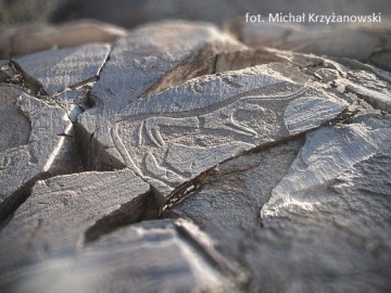 Wykute na skale postacie zwierząt i ludzi – petroglify (fot. Michał Krzyżanowski)