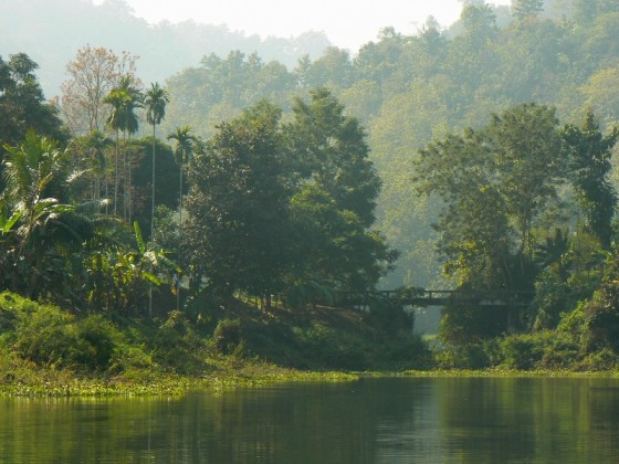 Bujna roslinnosc na wyspie na jeziorze Kaptai.