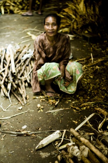 Na Lombok w Indonezji uprawia się tytoń