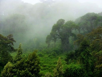 Rwanda. (Fot. Beata i Jan Frączak)