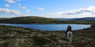 Konna podróż przez Norwegię - foto