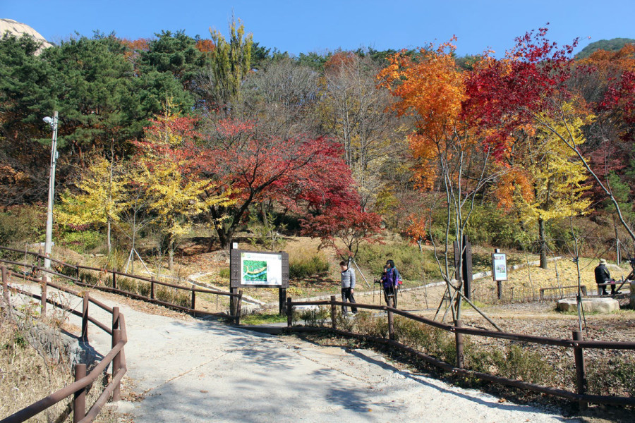 Park Bukhansan. (Fot. Arek Braniewski)